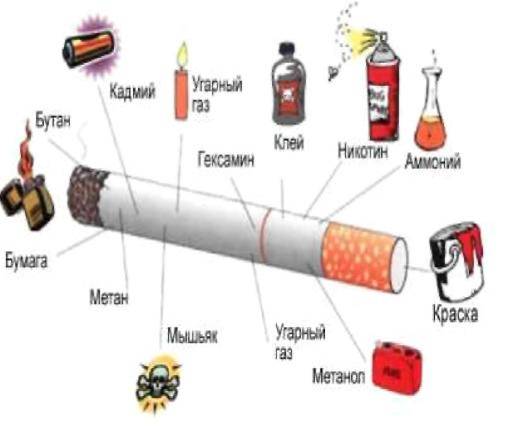 Воздействие Табакокурения На Организм Человека Реферат